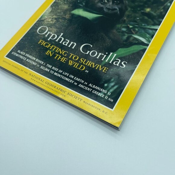 5/$10 National Geographic Magazine Orphan Gorillas April 2000 - Picture 2 of 9
